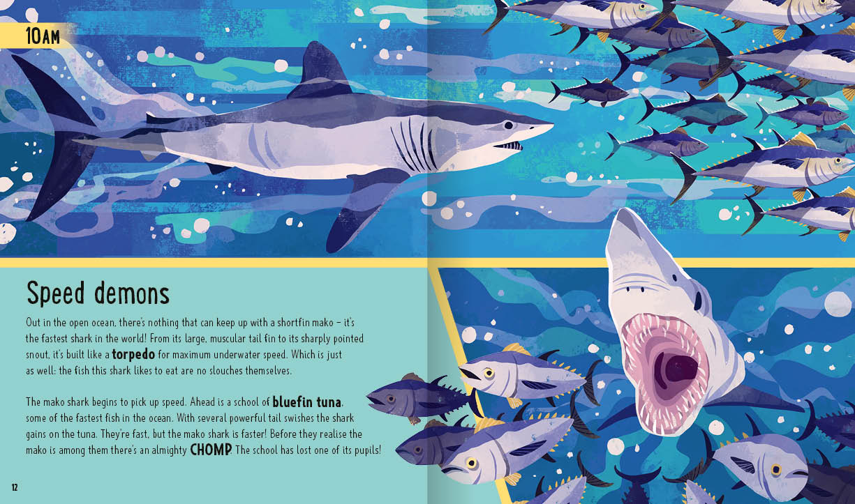 Neon Squid - Sharks (A Day in the Life): What Do Great Whites, Hammerheads, and Whale Sharks Get Up To All Day?