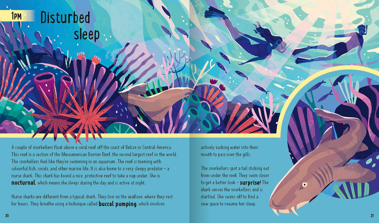 Neon Squid - Sharks (A Day in the Life): What Do Great Whites, Hammerheads, and Whale Sharks Get Up To All Day?