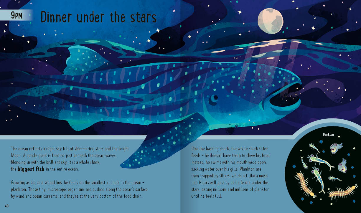 Neon Squid - Sharks (A Day in the Life): What Do Great Whites, Hammerheads, and Whale Sharks Get Up To All Day?