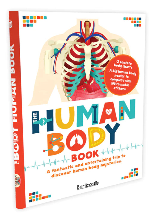 The Human Body book - Shoebox