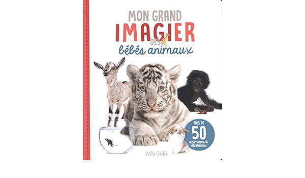 Petits Genies - Mon Imagier Des Bebes Animaux