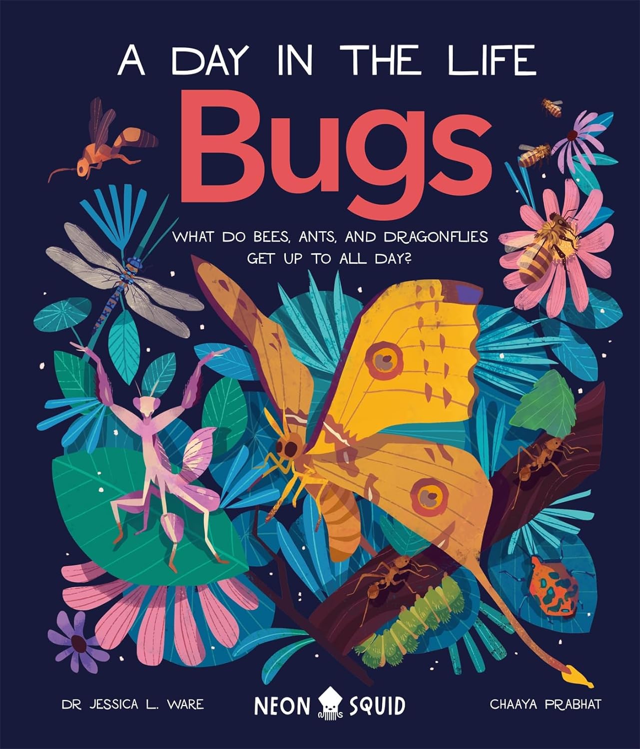 Neon Squid- Bugs (A Day in the Life): What Do Bees, Ants, and Dragonflies Get up to All Day?