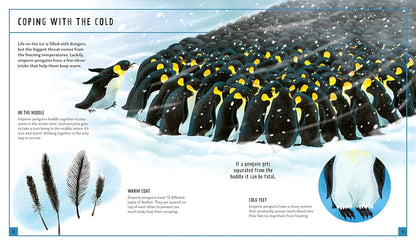 Priddy Books - Emperor Penguin (Young Zoologist): A First Field Guide to the Flightless Bird from Antarctica