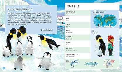 Priddy Books - Emperor Penguin (Young Zoologist): A First Field Guide to the Flightless Bird from Antarctica