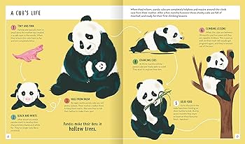 Priddy Books - Giant Panda (Young Zoologist): A First Field Guide to the Bamboo-Loving Bear from China