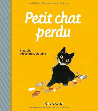 Petit Chat Perdu