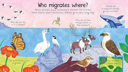 Lift-the-Flap First Questions and Answers: Where do animals go in winter?