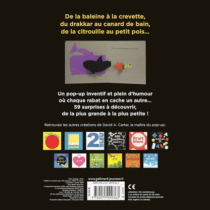 Gallimard Jeunesse-Surprise Pop-up pour petits curieux