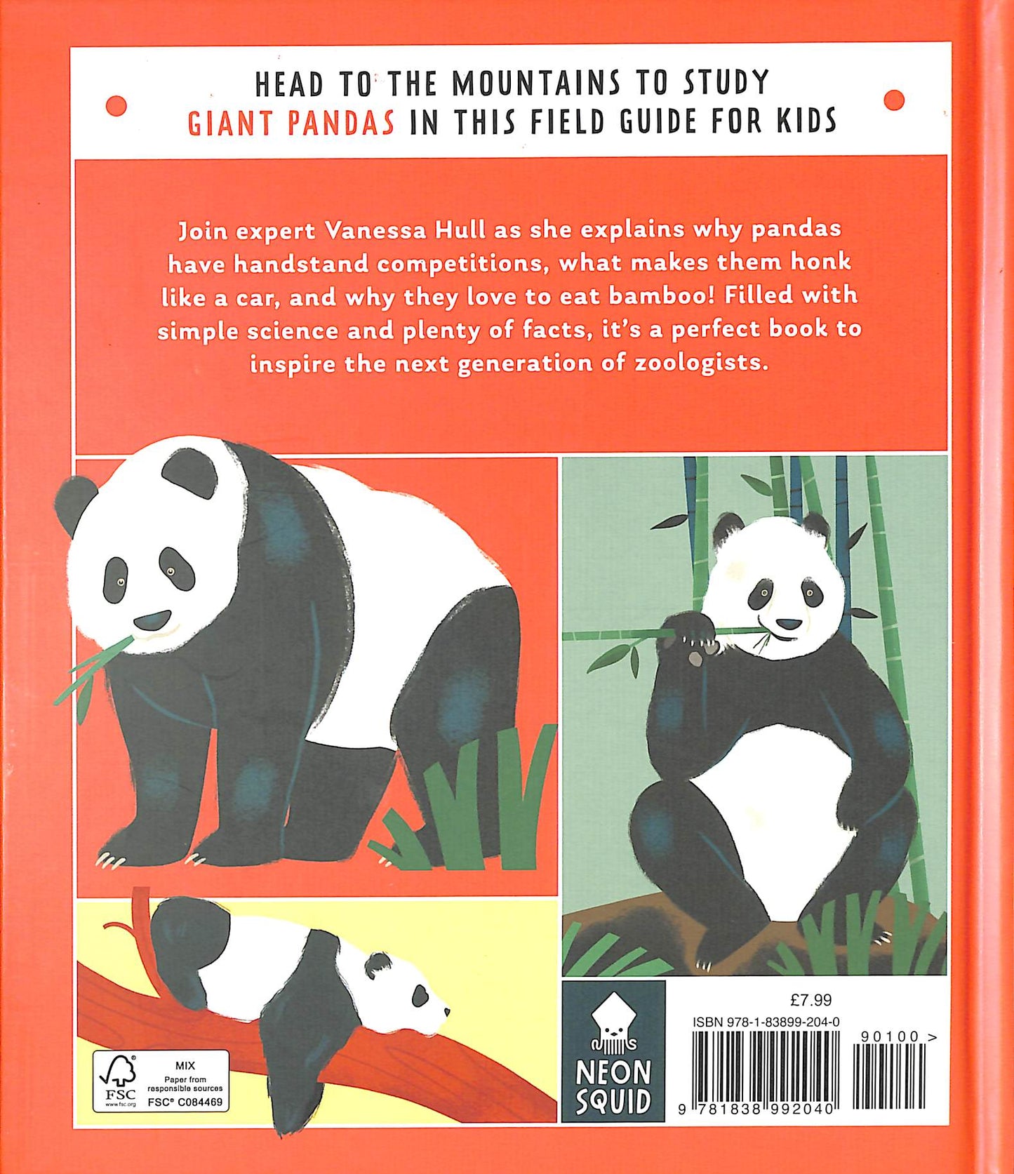 Priddy Books - Giant Panda (Young Zoologist): A First Field Guide to the Bamboo-Loving Bear from China