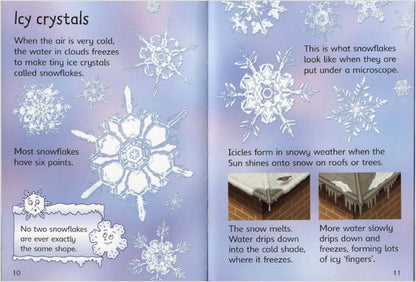 Science Book - Usborne - Weather