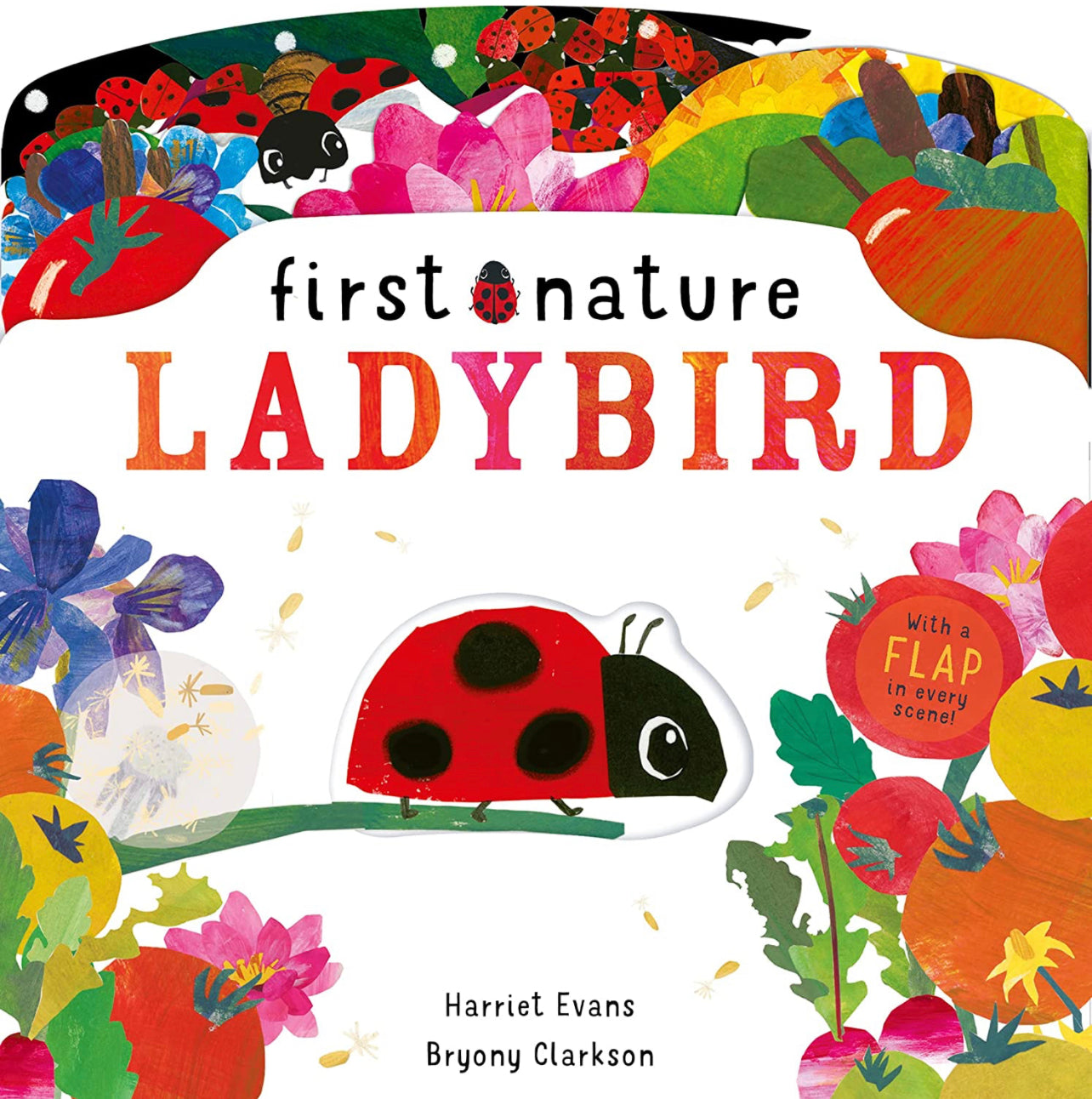 Board Book - Lift The Flap - First Nature - Ladybird