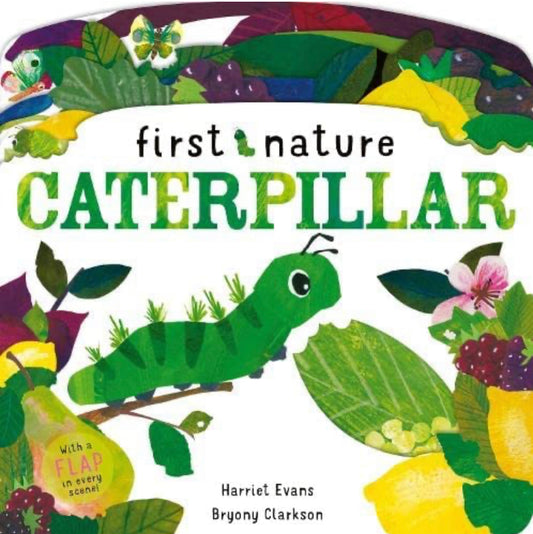 Board Book - Lift The Flap - First Nature - Caterpilar