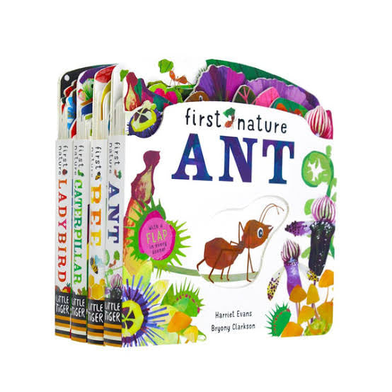 Board Book - Lift The Flap - First Nature - Ant