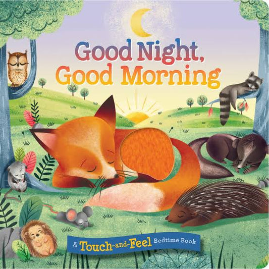 Touch and Feel Book - Good Night, Good Morning