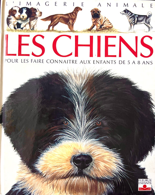 Imagerie animale - Les Chiens