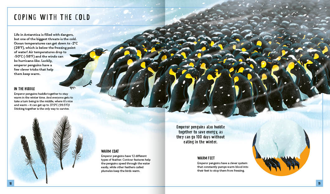 Priddy Books - Emperor Penguin (Young Zoologist): A First Field Guide to the Flightless Bird from Antarctica