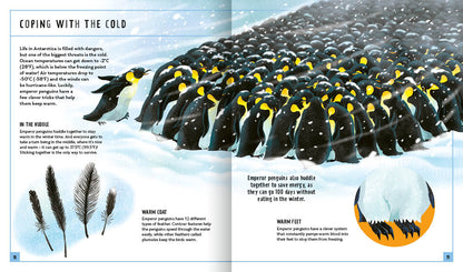 Priddy Books - Emperor Penguin (Young Zoologist): A First Field Guide to the Flightless Bird from Antarctica