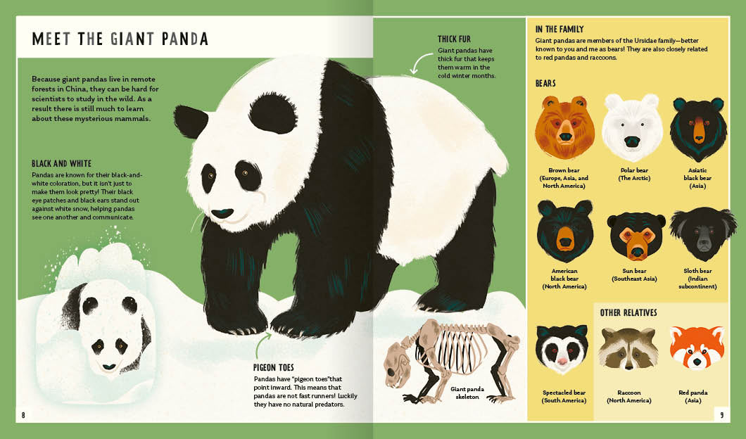 Priddy Books - Giant Panda (Young Zoologist): A First Field Guide to the Bamboo-Loving Bear from China