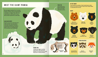 Priddy Books - Giant Panda (Young Zoologist): A First Field Guide to the Bamboo-Loving Bear from China