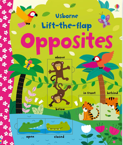 Lift-the-flap: Opposites