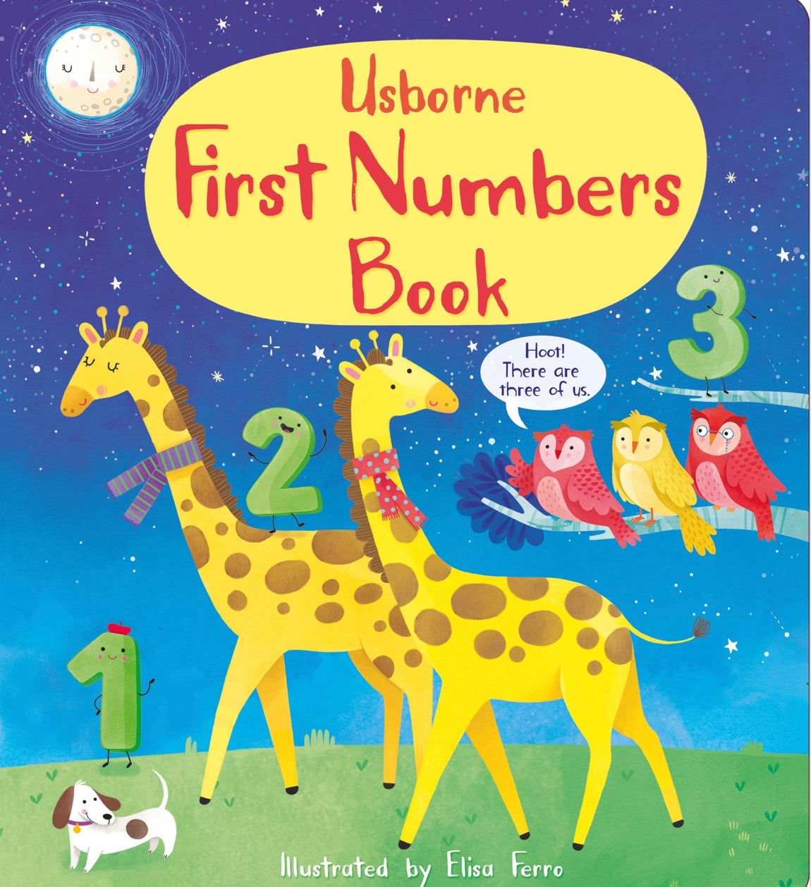 First Numbers Book