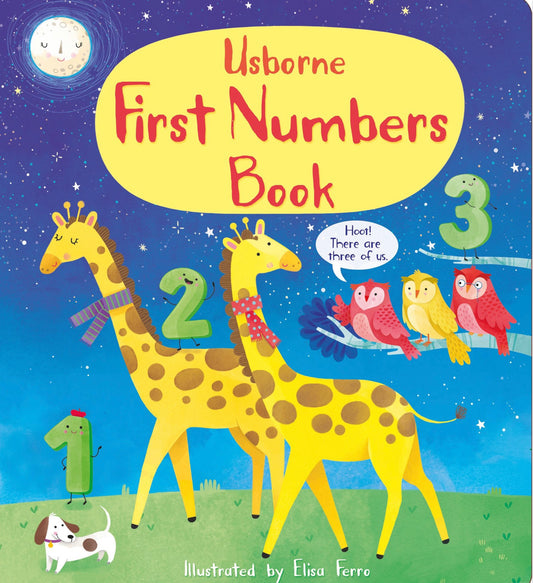 First Numbers Book