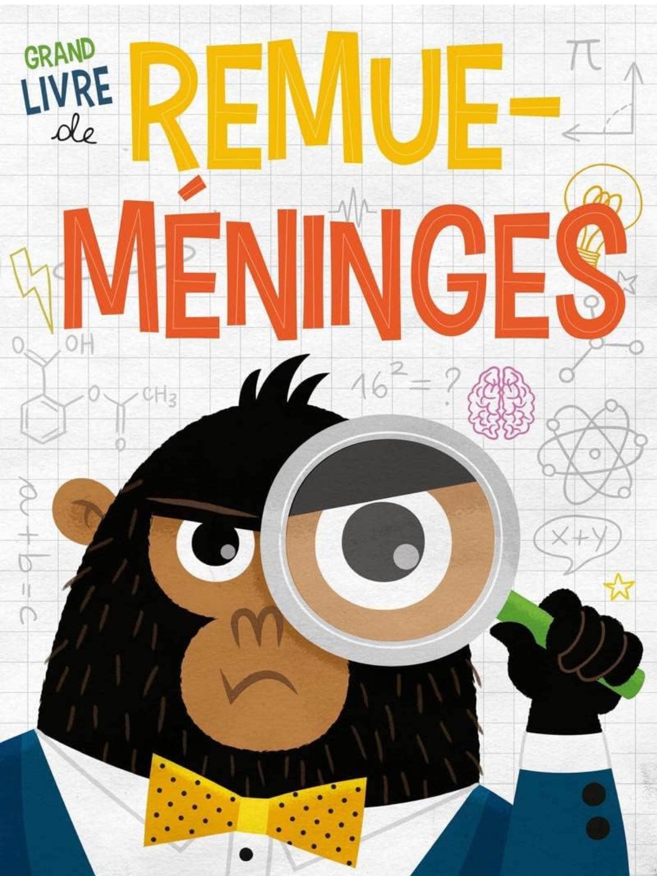 Grand Livre De Remue - Meninges