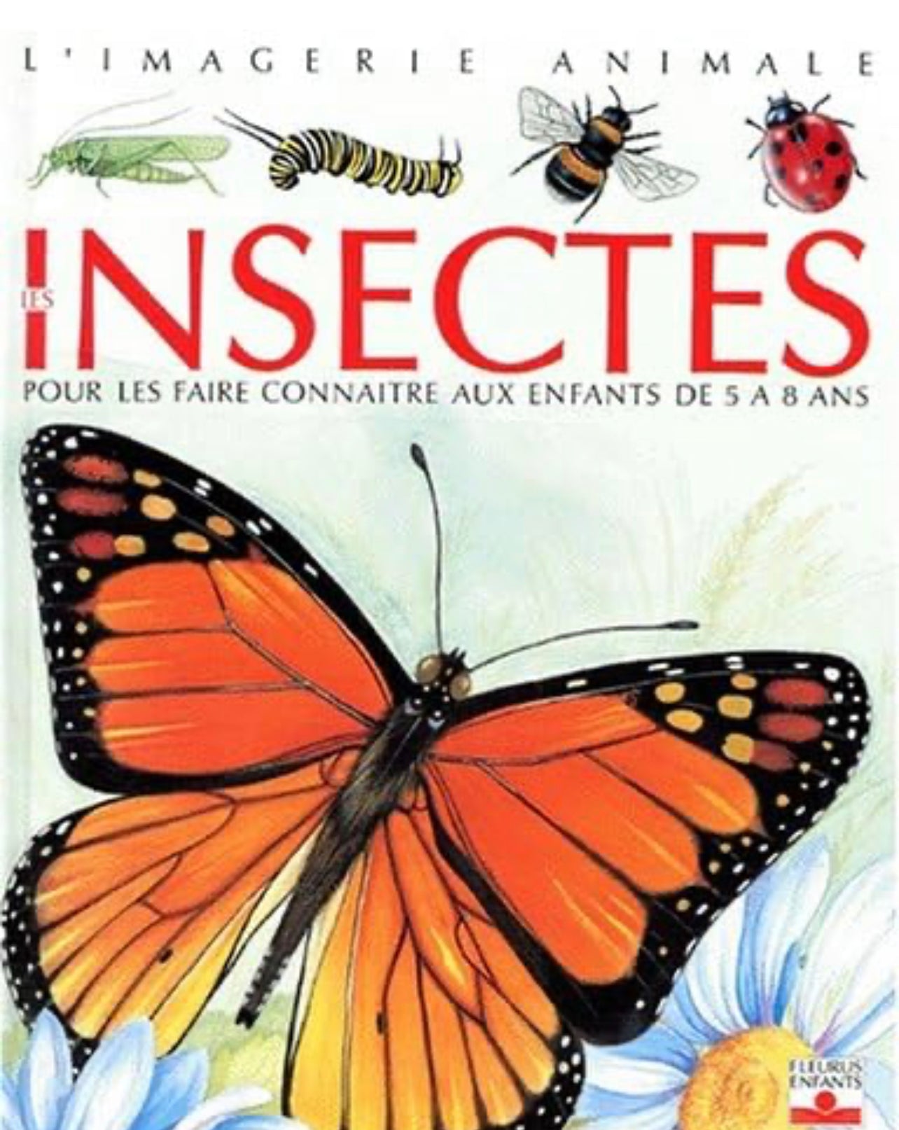 Imagerie animale - Insectes