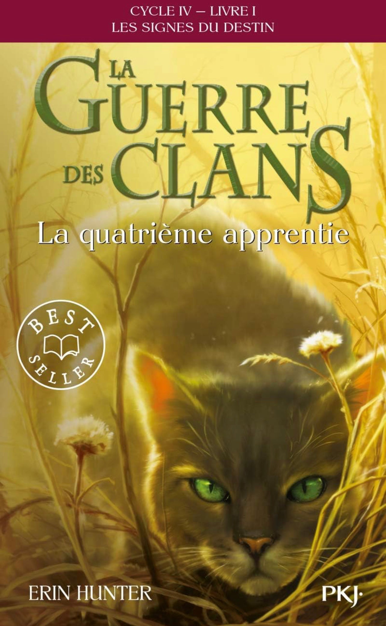 La guerre des clans - La quatrieme apprentie