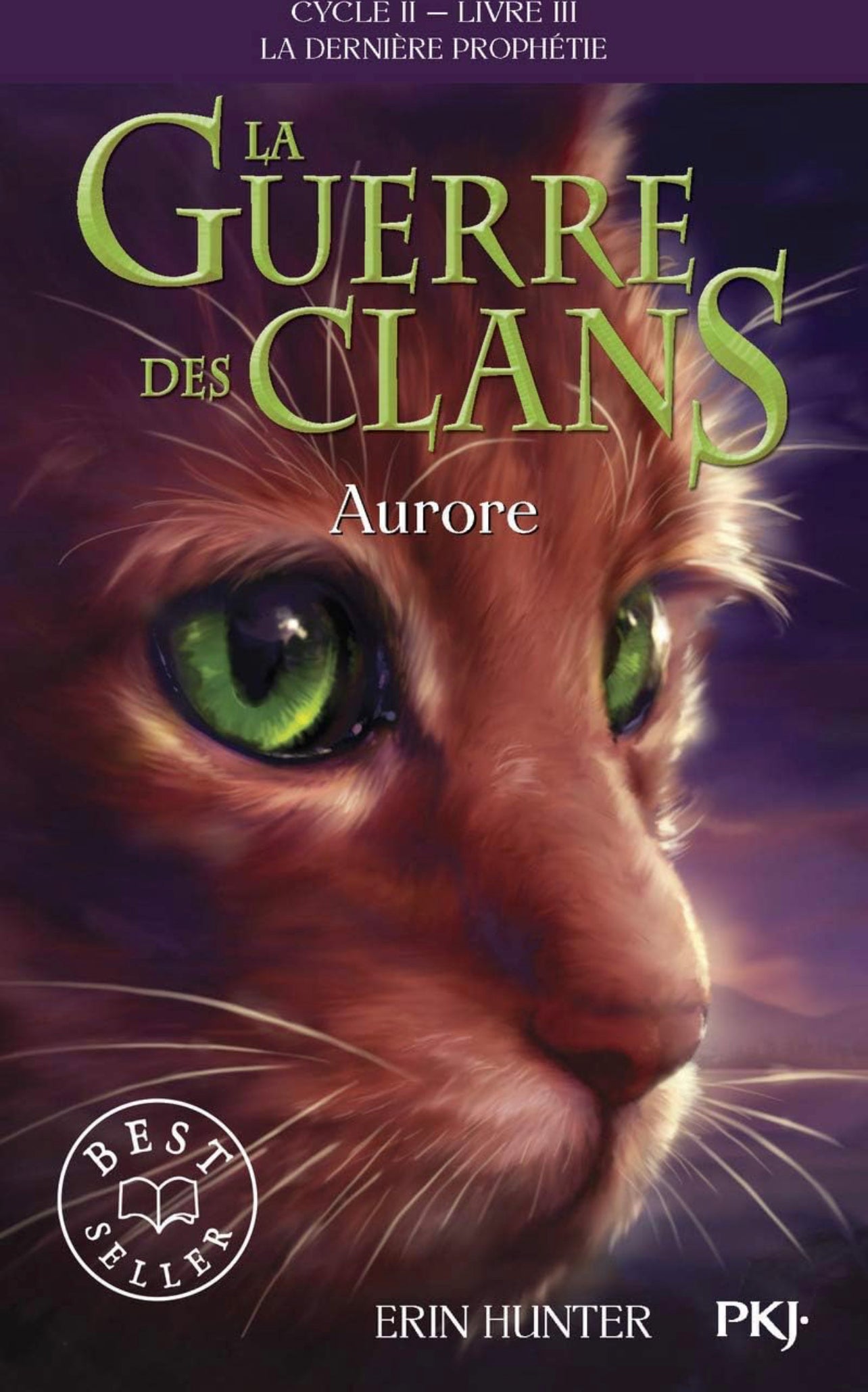 La guerre des clans - Aurore