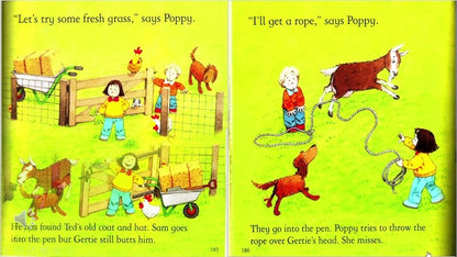 Farmyard Tales Poppy and Sam: The New Pony