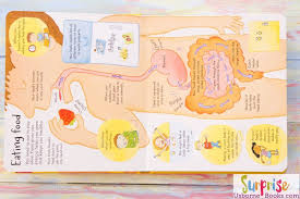 Look inside: Your Body